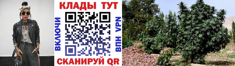 ЭКСТАЗИ Хабаровск