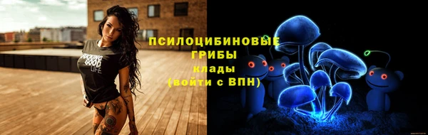 трава Абинск