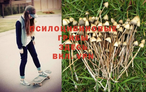 mdpv Абаза