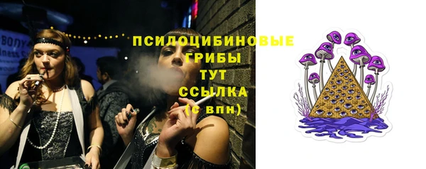 2c-b Абдулино