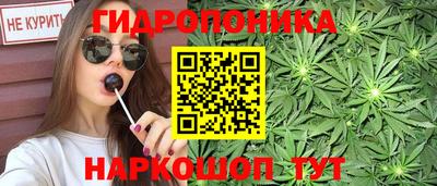 apvp Кинель