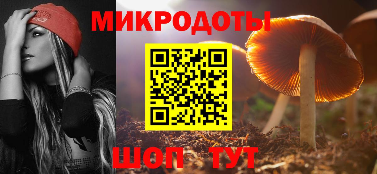 Хабаровск  Галлюциногенные грибы Psilocybe  Вход с VPN 